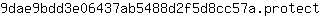 9***t