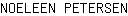 N***N