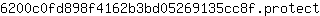 6***t