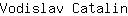 V***n