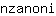 n***i