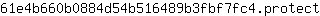 6***t