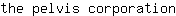 t***n