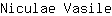 N***e