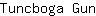 T***n