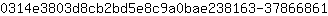 0***1