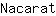 N***t
