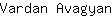 V***n