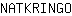 N***O