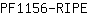 P***E