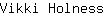 V***s