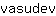 v***v