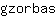 g***s