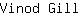 V***l