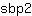s***2