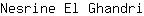 N***i