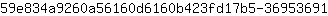 5***1