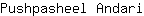 P***i