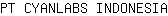 P***A