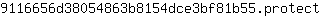9***t