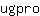 u***o