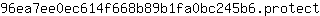 9***t