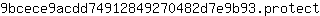 9***t
