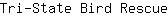 T***e
