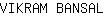 V***L