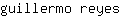 g***s