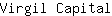 V***l