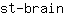 s***n