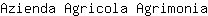 A***a