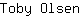 T***n