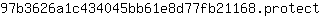 9***t