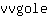 v***e