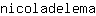 n***a