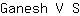 G***S