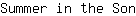 S***n