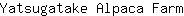 Y***m