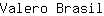 V***l