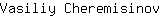 V***v