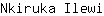 N***i