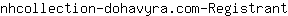 n***t