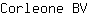 C***V
