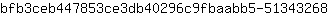 b***8