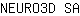 N***A
