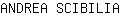 A***A