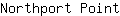 N***t