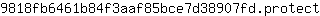 9***t